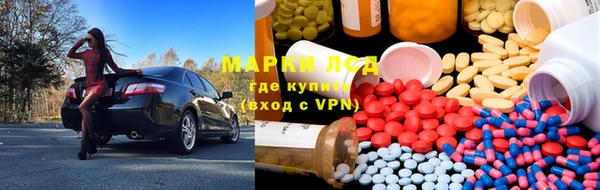 каннабис Аркадак