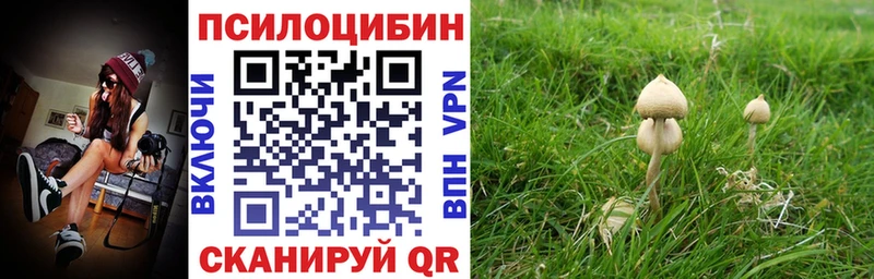 blacksprut ТОР  Гаврилов-Ям  Псилоцибиновые грибы GOLDEN TEACHER  дарнет шоп 