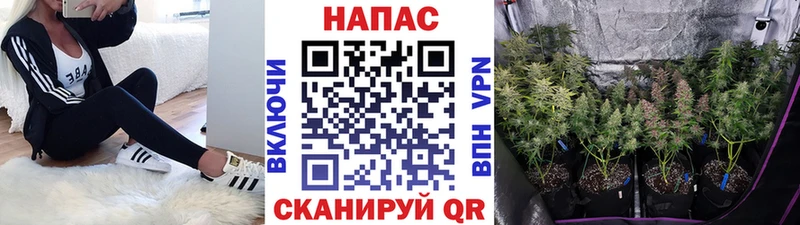 Канабис LSD WEED наркота Гаврилов-Ям